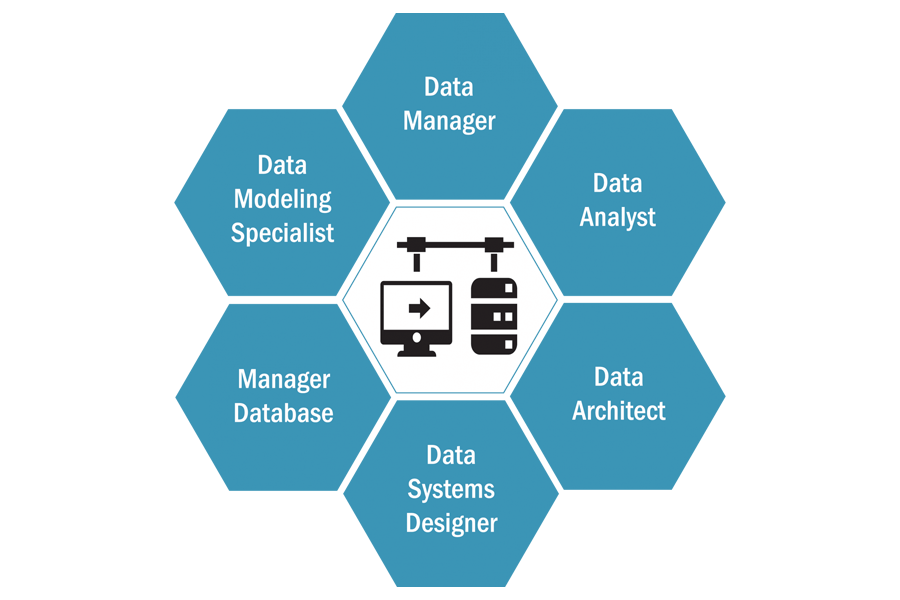 Data manager. Applications Management Analyst what it is?.